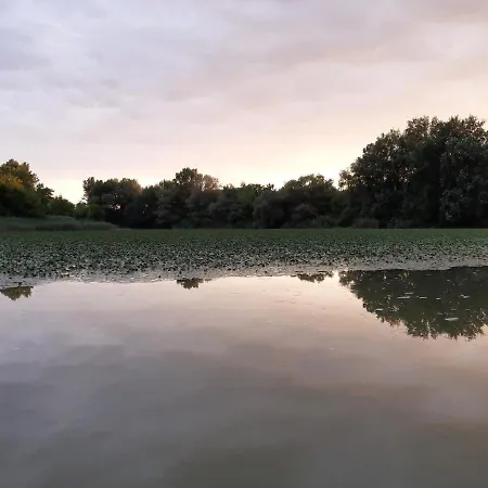 Váradi Affittacamere